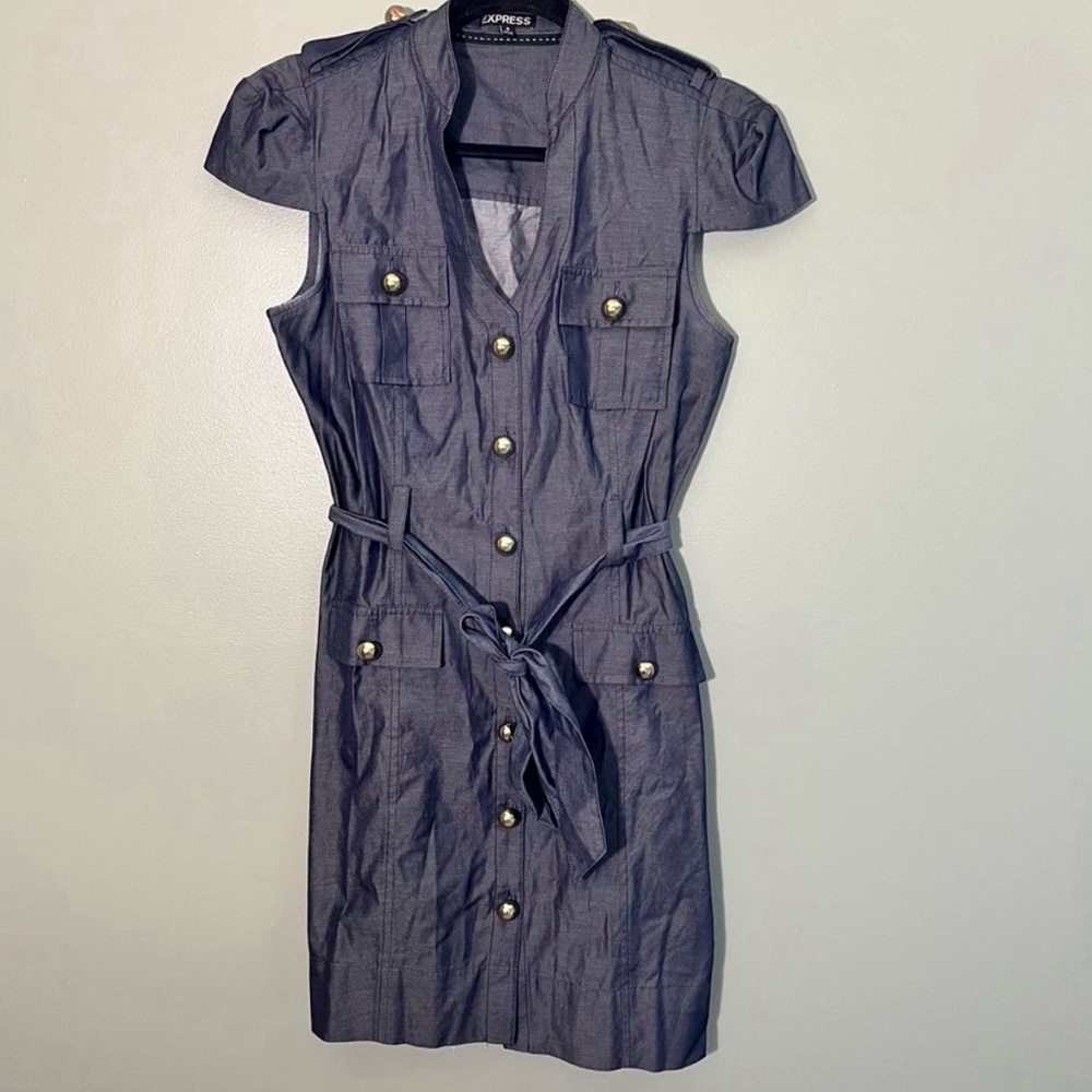 Express Button Up Dress with Belt